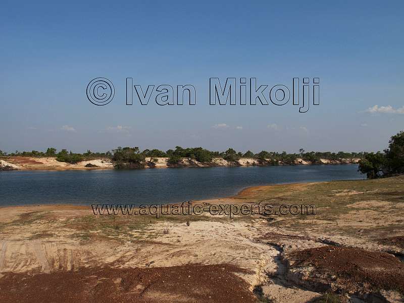 rio cinaruco venezuela